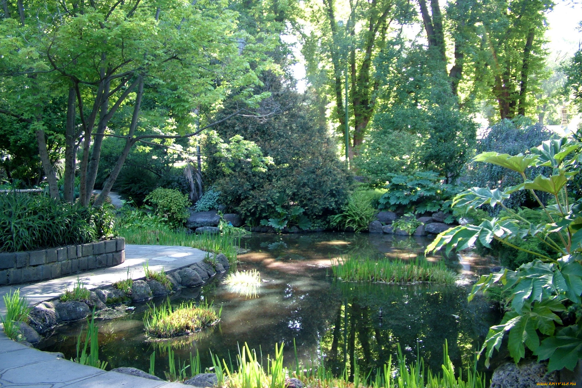 , fitzroy, gardens, , , , , 